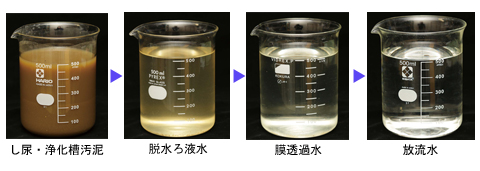 水質比較